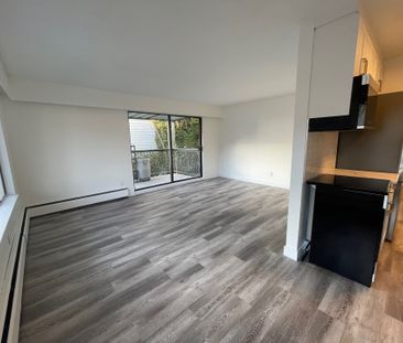 Newly Renovated One Bedroom Apartment in White Rock - Photo 3
