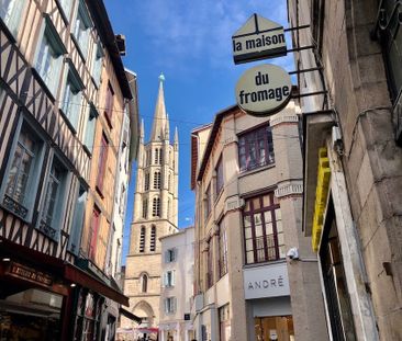 Location Appartement 1 pièce 28m² LIMOGES 87000 - Photo 4