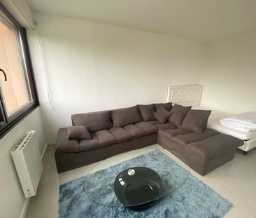 Location Appartement 1 pièce 37m² - Photo 3