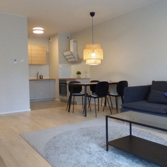 (Symbol 368734) MIESZKANIE na WYNAJEMSzczecin, Stare Miasto NOWE 2 POK. Z BALKONEM NA STARYM MIEŚCIE - Фото 1