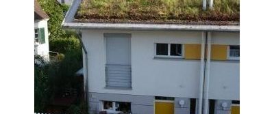 ::: Modernes Wohnen im Rosengarten ::: - Foto 1