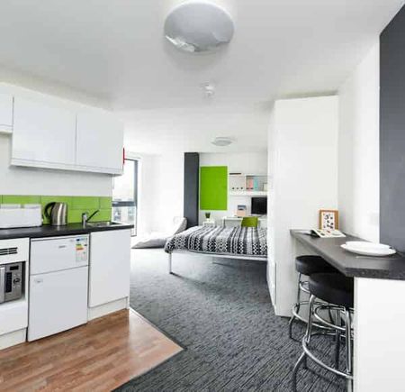 Studio Platinum Plus - Photo 4