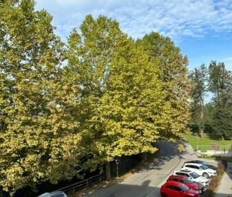 Neu sanierte 2 Zimmer Wohnung im Stadtzentrum - Photo 5