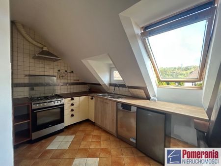 Jasne Błonia, ul. Monte Cassino - Zdjęcie 4