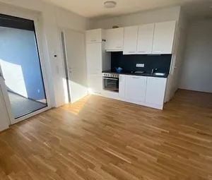 Ab 1.10. - Klimatisierte 1-1/2-Zimmer-Dachgeschoßwohnung mit Fernblick am Genochplatz - Photo 3