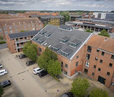 Dejlig 2-værelses lejlighed i hjertet af Odense - Photo 1