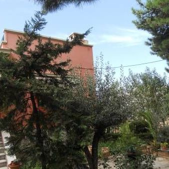 Μονοκατοικία για ενοικίαση Κηφισιά - Photo 1