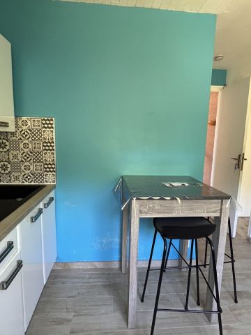 Location Appartement 1 pièce 25m² LA MOTTE SERVOLEX 73290 - Photo 5