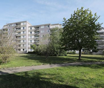 3-Zimmer-Wohnung mit Essbereich // 1.OG links - Photo 5