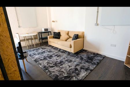 Studio Flat, Park Road, L8 - Photo 3