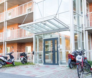 Aronsgatan 2, 94162, Piteå - Foto 4