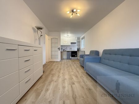 Potulicka, Szczecin, Nowe Miasto - Фото 2