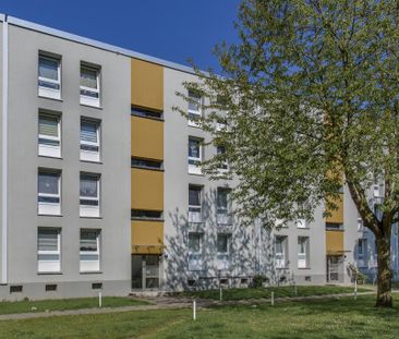 3-Zimmer-Wohnung in Dortmund Scharnhorst und 500 Euro Baumarktgutsc... - Photo 4