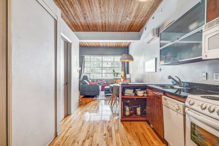 6820 Rue St Urbain, Montréal (Rosemont, QC H2S - Photo 4