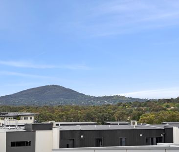 227/325 Anketell Street, Greenway ACT 2900 - Apartment For Rent | D... - Photo 5