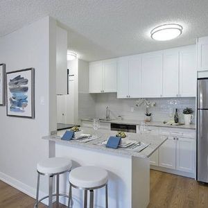 1 Bed/bath, In Coquitlam, $500.00 security deposit, - Photo 2