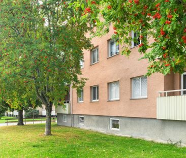 Axgränd, Linköping - Foto 1