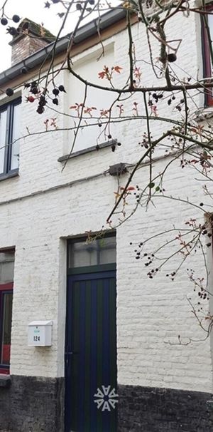 Charmante, authentieke woning op een rustige ligging te huur in Gent - Foto 1