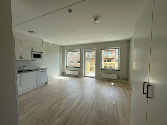 Klättergatan 11 – 1 rok (1504) - Photo 1