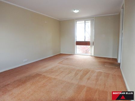 19A Eungella Street, Duffy ACT 2611 - House For Rent | Domain - Photo 3