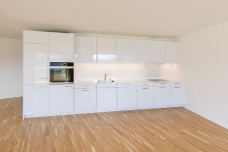 In the natural five-pointed star - Photo 3