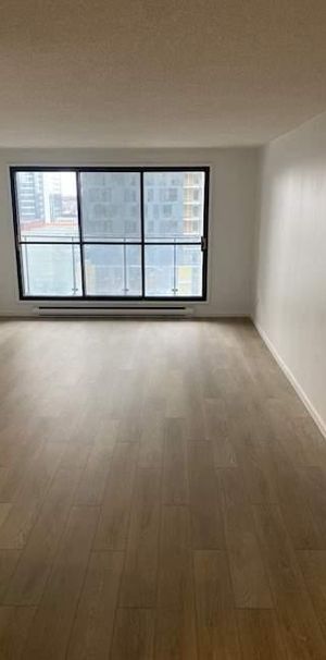 Appartement à louer – Portdemer 99-101 Place Charles-Lemoyne - Photo 1