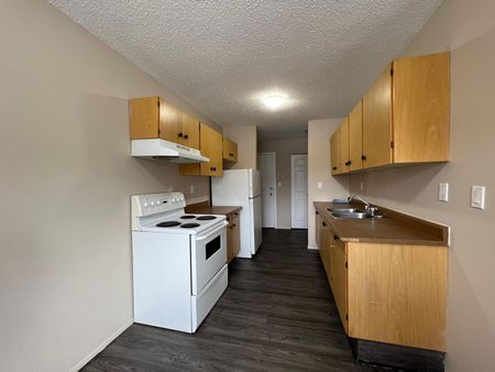 Pet Friendly 2 Bedroom 1 Bathroom Apartment - Photo 2