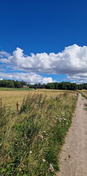 August Södermans väg, Uppsala - Foto 2