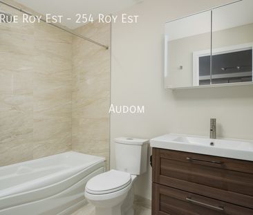 254 Rue Roy Est - 254 Roy Est - Photo 4
