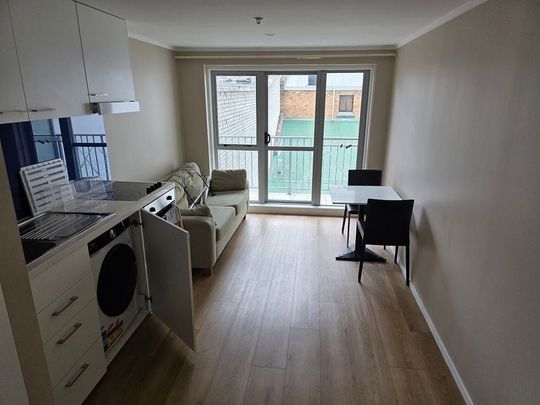 Renovated Apartment for Rent in Prime CBD Location - Photo 1