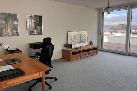 5.5 Zimmer, 245 m² - Photo 5