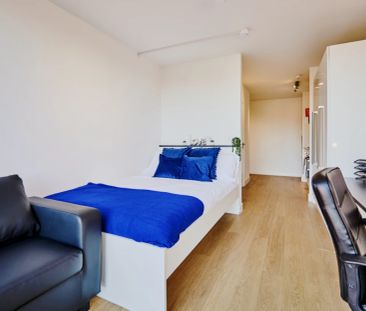 Studio - Platinum - Photo 6