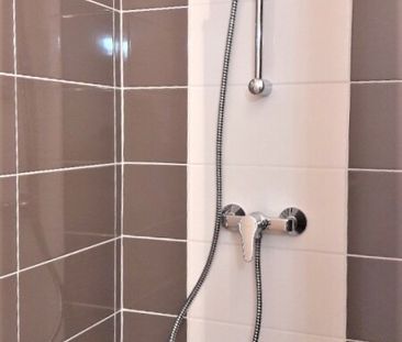 Location Appartement 1 pièce 17m² PAU 64000 - Photo 3