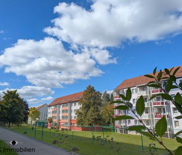 ++ gemütlich wohnen am Hohen Hain – 2-Raum-Wohnung mit Licht, Ruhe ... - Photo 3