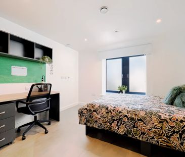 Davey - Studio Style B02 - Photo 3