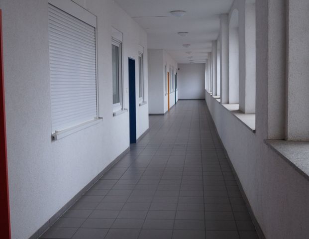 Dingelstädt: Helle und gepflegte 3-Zimmer-Wohnung in zentralem Mehrfamilienhaus! - Photo 1