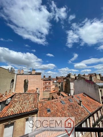 Appartement T5 en location à Toulouse - Photo 5