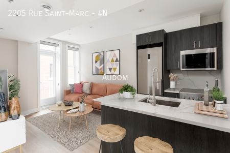 2205 Rue Saint-Marc - 4N - Photo 4