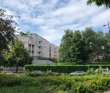 Location Appartement 3 pièces 89m² L HAY LES ROSES 94240 - Photo 5