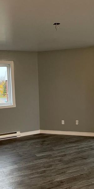 Beau 4 1/2 libre maintenant à Ste-Catherine (rive-sud de Mtl) - Photo 1