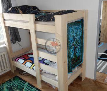 Pronájem bytu 3+1 Barvířská, Třešť - Photo 4