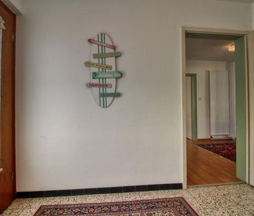 Rex #3 - Photo 3