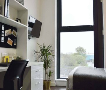 Premium Ensuite - Photo 3