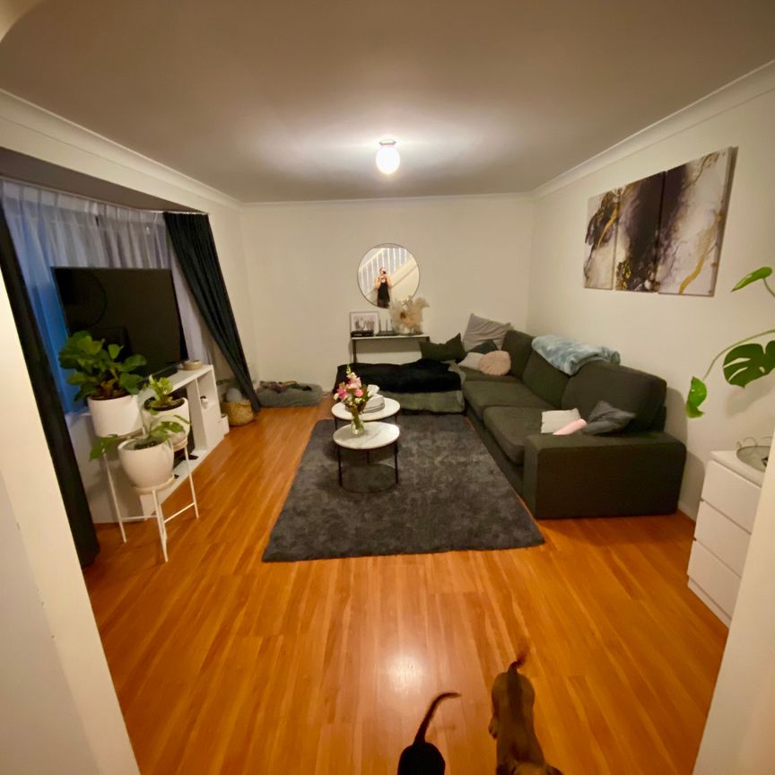 Blacktown - Photo 1