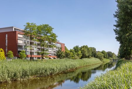 De Warande, Zuiderpark - Photo 4