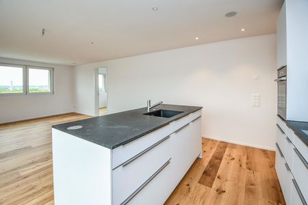 Moderne Attika-Wohnung in Tägerwilen - Photo 5