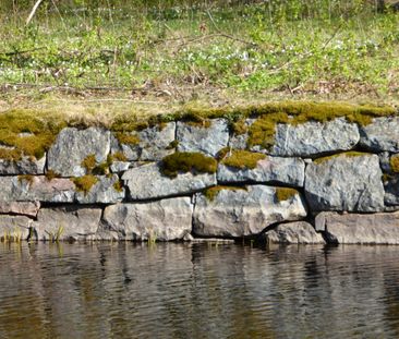 Trea i vacker kulturmiljö - Foto 1