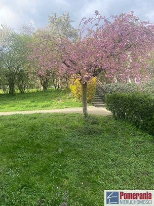 Warszewo - Фото 1