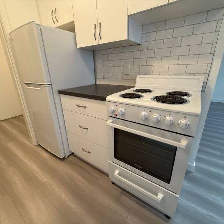 RENOVATED 1 BED/1 BATH APT AT W 13TH & GRANVILLE - Photo 1