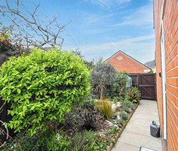 3 Bedroom House to let - Photo 6